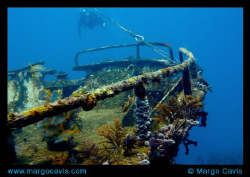 The bow of the Sea Star wreck off the coast of Freeport, ... by Margo Cavis 